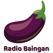 Radio Baingan Logo