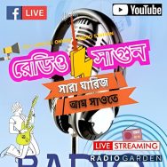 Radio Sagun Logo